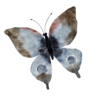 Schmetterling links Icon