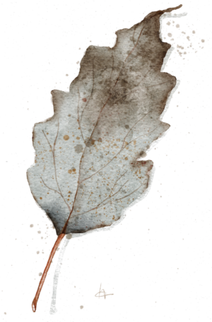 Blatt Icon