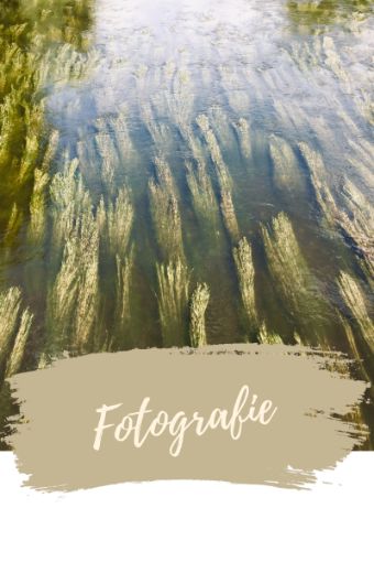 Kuenstlerseele_Start_Fotografie